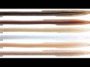 Reins Swamp Eel Jr (B54)